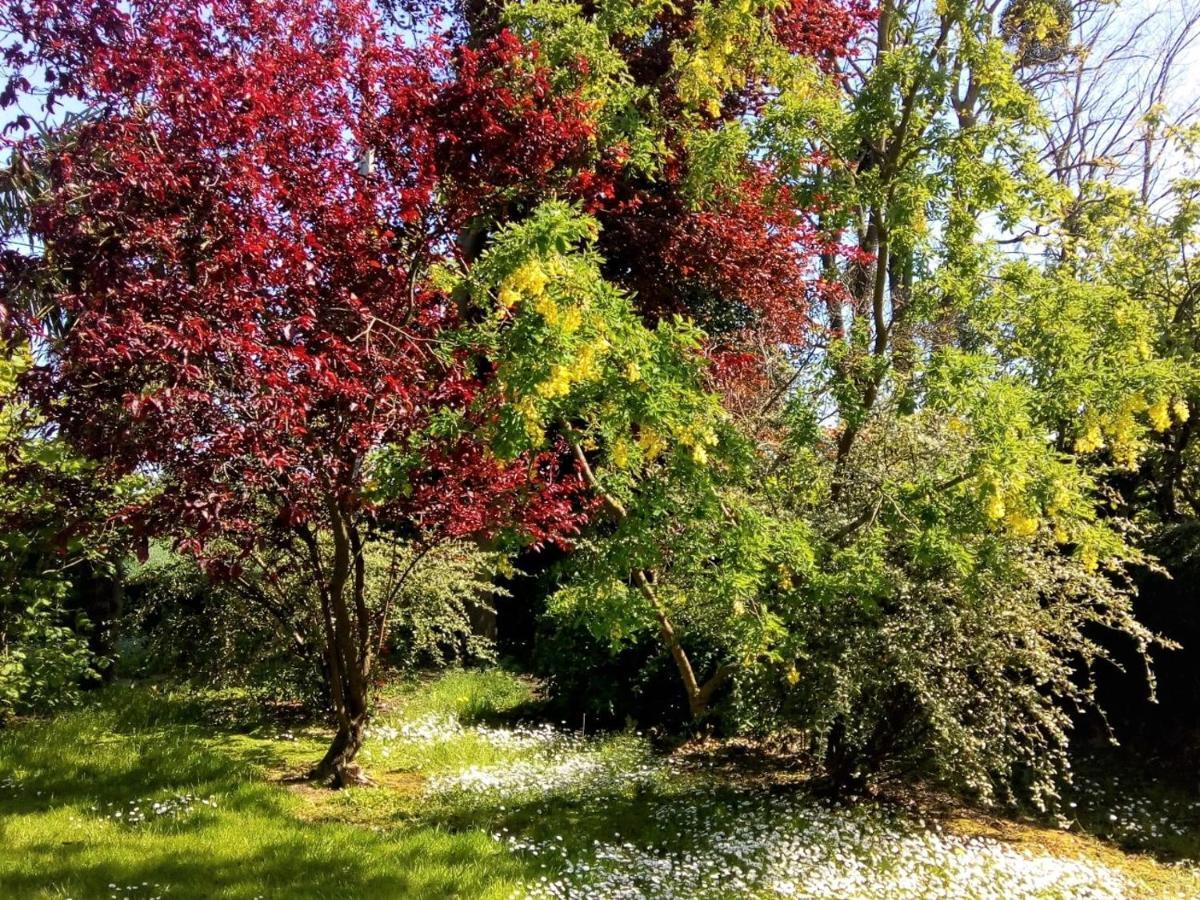 Вилла La Barberie A Saint-Marcouf Экстерьер фото